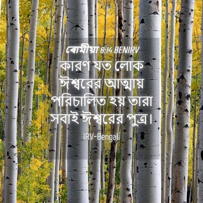 Picture 04 - ৰোমীয়া 8:14 BENIRV - কারণ যত লোক - Bible Verse Picture