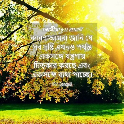 Picture 04 - ৰোমীয়া 8:22 BENIRV - কারণ আমরা জানি যে, - Bible Verse Picture