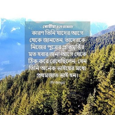 Picture 04 - ৰোমীয়া 8:29 BENIRV - কারণ তিনি যাদের - Bible Verse Picture