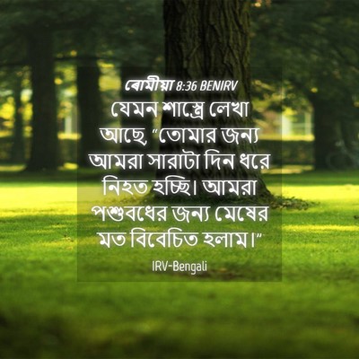 Picture 04 - ৰোমীয়া 8:36 BENIRV - যেমন শাস্ত্রে - Bible Verse Picture