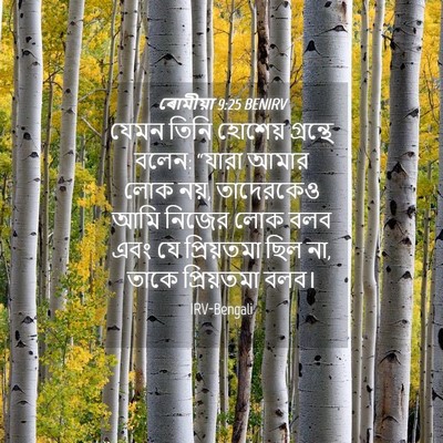 Picture 04 - ৰোমীয়া 9:25 BENIRV - যেমন তিনি হোশেয় - Bible Verse Picture