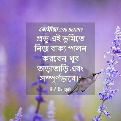 Picture 04 - ৰোমীয়া 9:28 BENIRV - প্রভু এই ভূমিতে - Bible Verse Picture