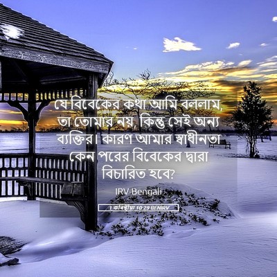Picture 05 - 1 কৰিন্থীয়া 10:29 BENIRV - যে বিবেকের কথা আমি - Bible Verse Picture