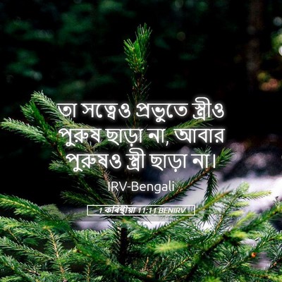 Picture 05 - 1 কৰিন্থীয়া 11:11 BENIRV - তা সত্বেও প্রভুতে - Bible Verse Picture