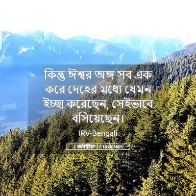 Picture 05 - 1 কৰিন্থীয়া 12:18 BENIRV - কিন্তু ঈশ্বর অঙ্গ - Bible Verse Picture