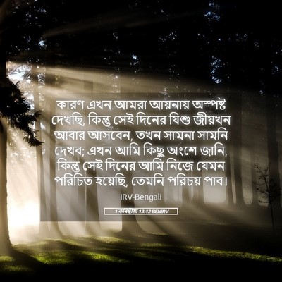 Picture 05 - 1 কৰিন্থীয়া 13:12 BENIRV - কারণ এখন আমরা - Bible Verse Picture