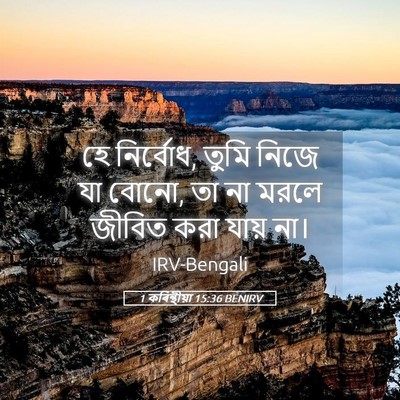 Picture 05 - 1 কৰিন্থীয়া 15:36 BENIRV - হে নির্বোধ, তুমি - Bible Verse Picture
