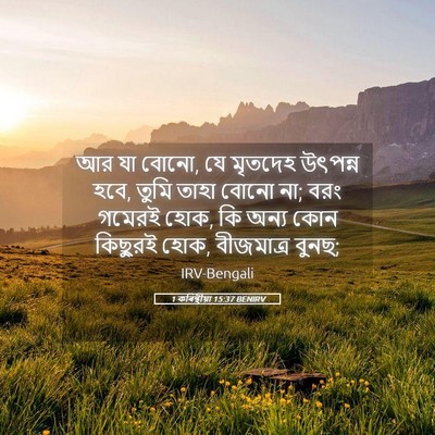 Picture 05 - 1 কৰিন্থীয়া 15:37 BENIRV - আর যা বোনো, যে - Bible Verse Picture