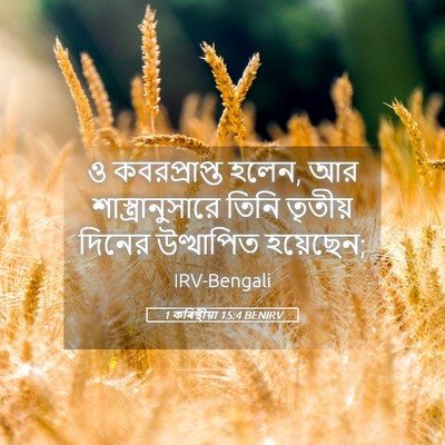 Picture 05 - 1 কৰিন্থীয়া 15:4 BENIRV - ও কবরপ্রাপ্ত হলেন, - Bible Verse Picture