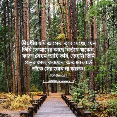 Picture 05 - 1 কৰিন্থীয়া 16:10 BENIRV - তীমথীয় যদি আসেন, - Bible Verse Picture