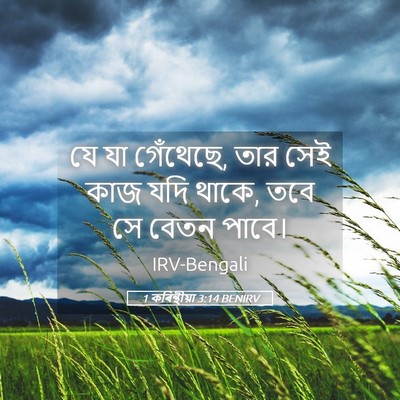 Picture 05 - 1 কৰিন্থীয়া 3:14 BENIRV - যে যা গেঁথেছে, তার - Bible Verse Picture