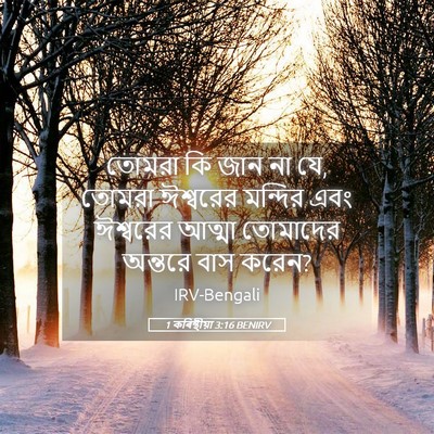 Picture 05 - 1 কৰিন্থীয়া 3:16 BENIRV - তোমরা কি জান না যে, - Bible Verse Picture