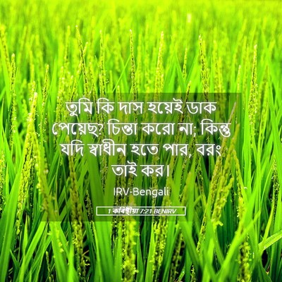 Picture 05 - 1 কৰিন্থীয়া 7:21 BENIRV - তুমি কি দাস হয়েই - Bible Verse Picture