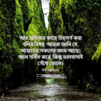 Picture 05 - 1 কৰিন্থীয়া 8:1 BENIRV - আর প্রতিমার কাছে - Bible Verse Picture