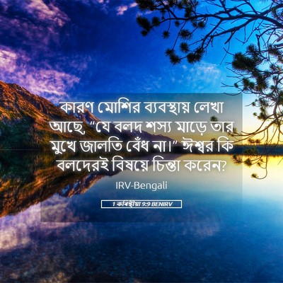 Picture 05 - 1 কৰিন্থীয়া 9:9 BENIRV - কারণ মোশির - Bible Verse Picture