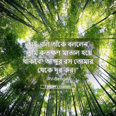 Picture 05 - 1 চমূৱেল 1:14 BENIRV - তাই এলি তাঁকে - Bible Verse Picture