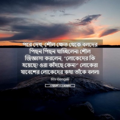 Picture 05 - 1 চমূৱেল 11:5 BENIRV - পরে দেখ, শৌল ক্ষেত - Bible Verse Picture