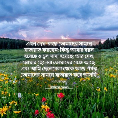 Picture 05 - 1 চমূৱেল 12:2 BENIRV - এখন দেখ, রাজা - Bible Verse Picture