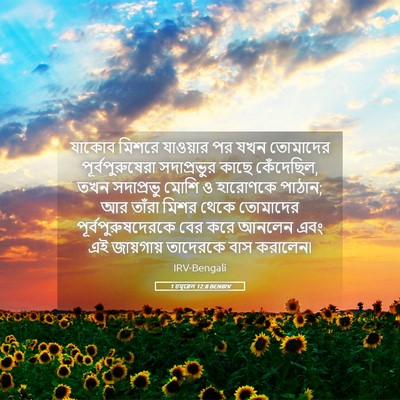 Picture 05 - 1 চমূৱেল 12:8 BENIRV - যাকোব মিশরে - Bible Verse Picture