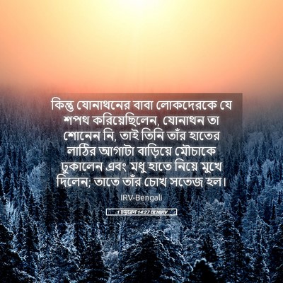 Picture 05 - 1 চমূৱেল 14:27 BENIRV - কিন্তু যোনাথনের - Bible Verse Picture