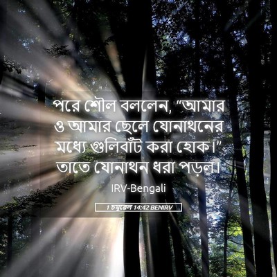 Picture 05 - 1 চমূৱেল 14:42 BENIRV - পরে শৌল বললেন, - Bible Verse Picture