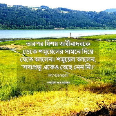 Picture 05 - 1 চমূৱেল 16:8 BENIRV - তারপর যিশয় - Bible Verse Picture