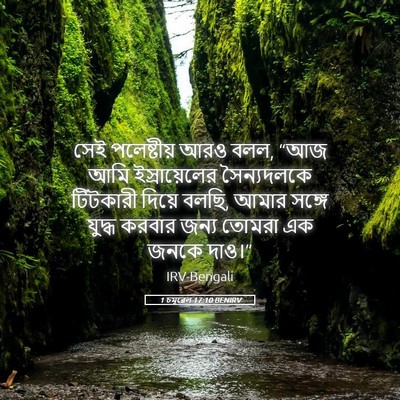 Picture 05 - 1 চমূৱেল 17:10 BENIRV - সেই পলেষ্টীয় আরও - Bible Verse Picture