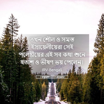 Picture 05 - 1 চমূৱেল 17:11 BENIRV - তখন শৌল ও সমস্ত - Bible Verse Picture