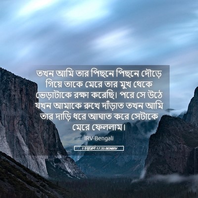 Picture 05 - 1 চমূৱেল 17:35 BENIRV - তখন আমি তার পিছনে - Bible Verse Picture