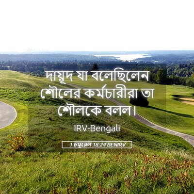 Picture 05 - 1 চমূৱেল 18:24 BENIRV - দায়ূদ যা - Bible Verse Picture