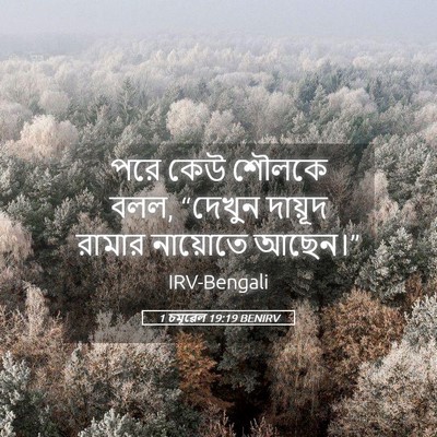 Picture 05 - 1 চমূৱেল 19:19 BENIRV - পরে কেউ শৌলকে বলল, - Bible Verse Picture