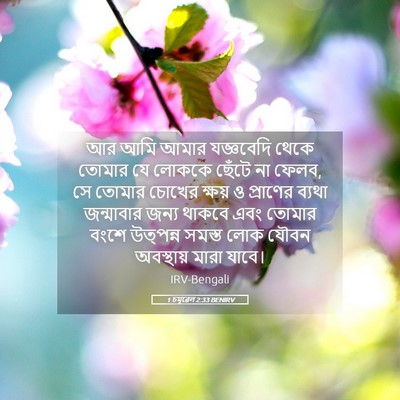 Picture 05 - 1 চমূৱেল 2:33 BENIRV - আর আমি আমার - Bible Verse Picture