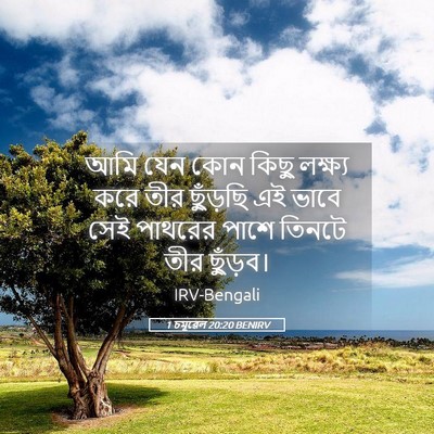 Picture 05 - 1 চমূৱেল 20:20 BENIRV - আমি যেন কোন কিছু - Bible Verse Picture