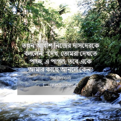 Picture 05 - 1 চমূৱেল 21:14 BENIRV - তখন আখীশ নিজের - Bible Verse Picture