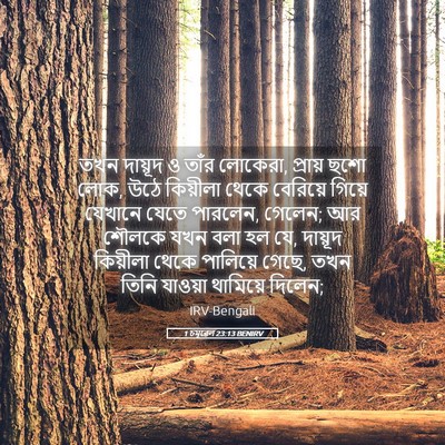 Picture 05 - 1 চমূৱেল 23:13 BENIRV - তখন দায়ূদ ও তাঁর - Bible Verse Picture