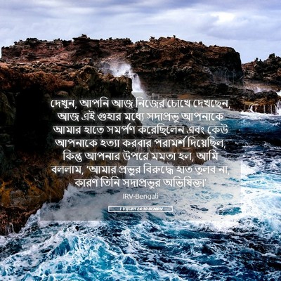 Picture 05 - 1 চমূৱেল 24:10 BENIRV - দেখুন, আপনি আজ - Bible Verse Picture
