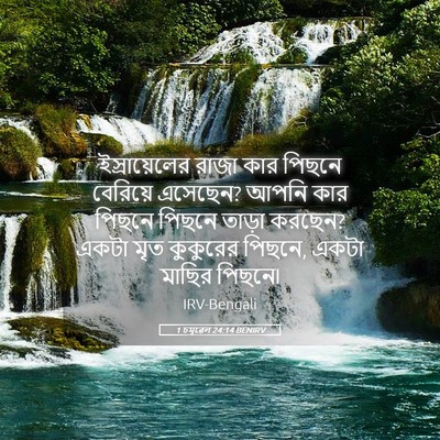 Picture 05 - 1 চমূৱেল 24:14 BENIRV - ইস্রায়েলের রাজা - Bible Verse Picture