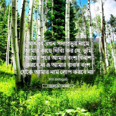 Picture 05 - 1 চমূৱেল 24:21 BENIRV - অতএব এখন - Bible Verse Picture