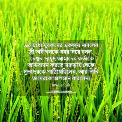Picture 05 - 1 চমূৱেল 25:14 BENIRV - এর মধ্যে যুবকদের - Bible Verse Picture