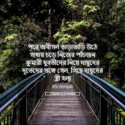Picture 05 - 1 চমূৱেল 25:42 BENIRV - পরে অবীগল - Bible Verse Picture