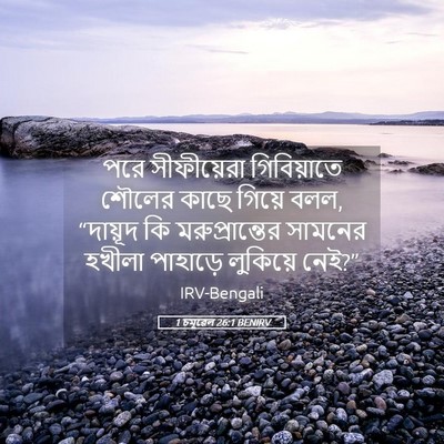 Picture 05 - 1 চমূৱেল 26:1 BENIRV - পরে সীফীয়েরা - Bible Verse Picture