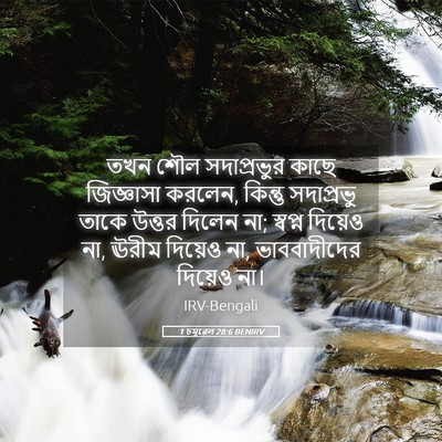 Picture 05 - 1 চমূৱেল 28:6 BENIRV - তখন শৌল সদাপ্রভুর - Bible Verse Picture
