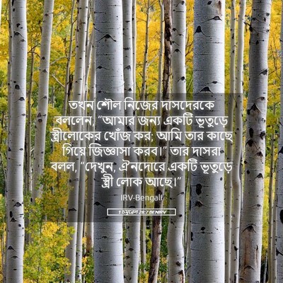 Picture 05 - 1 চমূৱেল 28:7 BENIRV - তখন শৌল নিজের - Bible Verse Picture