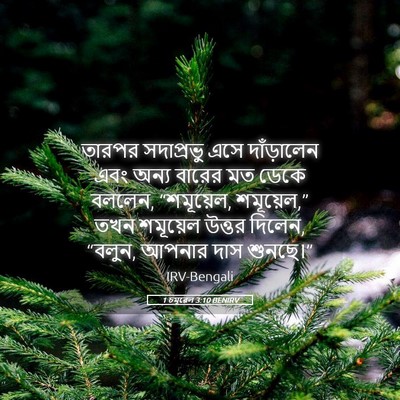 Picture 05 - 1 চমূৱেল 3:10 BENIRV - তারপর সদাপ্রভু - Bible Verse Picture