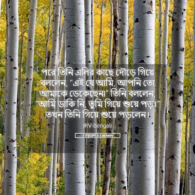 Picture 05 - 1 চমূৱেল 3:5 BENIRV - পরে তিনি এলির কাছে - Bible Verse Picture