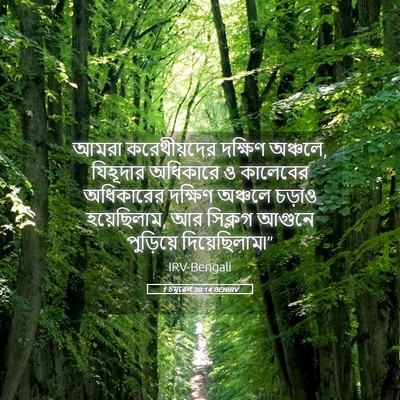Picture 05 - 1 চমূৱেল 30:14 BENIRV - আমরা করেথীয়দের - Bible Verse Picture