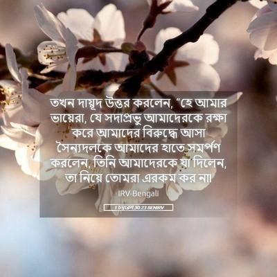 Picture 05 - 1 চমূৱেল 30:23 BENIRV - তখন দায়ূদ উত্তর - Bible Verse Picture