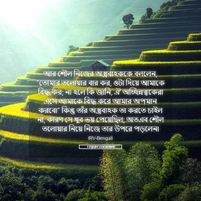 Picture 05 - 1 চমূৱেল 31:4 BENIRV - আর শৌল নিজের - Bible Verse Picture