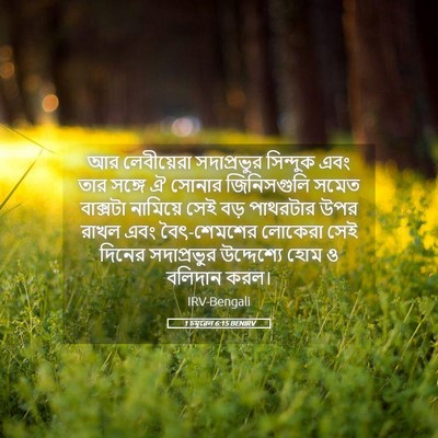 Picture 05 - 1 চমূৱেল 6:15 BENIRV - আর লেবীয়েরা - Bible Verse Picture
