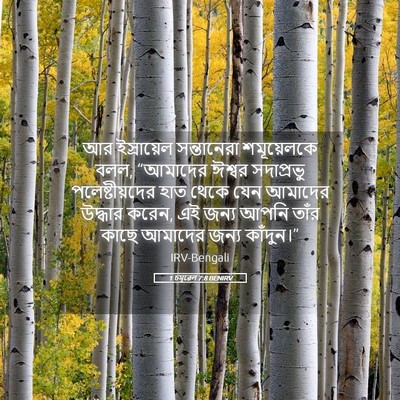 Picture 05 - 1 চমূৱেল 7:8 BENIRV - আর ইস্রায়েল - Bible Verse Picture